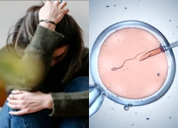 Vợ gần 40 tuổi bật khóc vì chồng muốn lấy tiền làm IVF để trả nợ cho em