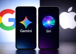Apple ra mắt Siri với tính năng tự động xóa lịch sử trò chuyện