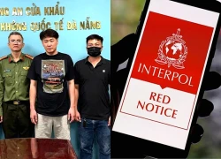 Công an Đà Nẵng bắt giữ đối tượng bị Interpol truy nã đỏ