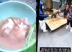 Công an xác minh phản ánh "thịt lợn hóa bò"