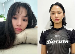 Cuộc sống của Miu Lê trước khi bị khởi tố vì liên quan đến ma tuý