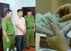 Cựu phó trưởng phòng kinh doanh Công ty dầu khí Cửu Long bị bắt