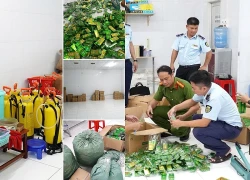 Đường dây sản xuất hơn 27.000 chai dầu gió giả do Châu Kế Cường cầm đầu
