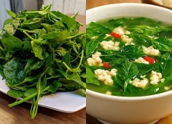 Loại lá nhiều gia đình trồng ở ban công, chế biến thành món ngon tốt cho xương khớp tuổi trung niên