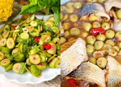 Loại quả mọc bờ rào xưa rụng đầy gốc, nay thành đặc sản ở thành phố, trồng 1 lần thu hoạch nhiều năm, muối chua hay kho ngon hết cỡ
