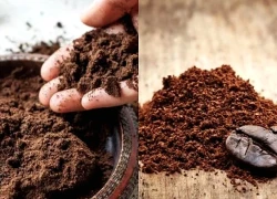 Lợi ích vượt trội của bã cà phê đối với làn da