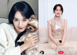 Nữ diễn viên bị phong sát tại Trung Quốc bất ngờ có màn trở lại tại Việt Nam