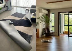 Sau tuổi 40, tôi dừng mua những món đồ "nhà nào cũng có": Không ngờ tiền điện, tiền dọn dẹp và đủ khoản lặt vặt đều giảm rõ rệt