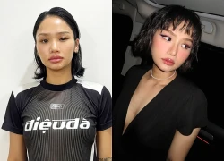 Sự nghiệp Miu Lê ảnh hưởng thế nào sau khi bị khởi tố tạm giam?