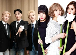 Vì sao các nhóm K-pop ngày càng chuộng đội hình nhỏ?
