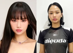 Vì sao Miu Lê bị khởi tố?