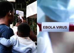 WHO cảnh báo khẩn cấp dịch Ebola, Bộ Y tế ra thông báo mới