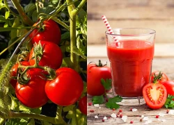 Ăn nửa quả này mỗi ngày cũng đủ trẻ hóa mạch máu, ngăn ngừa xơ cứng động mạch