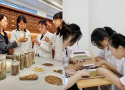 Chuẩn hóa năng lực hành nghề y học cổ truyền