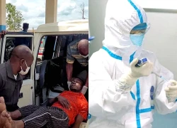 Chủng Bundibugyo của virus Ebola nguy hiểm đến mức nào?