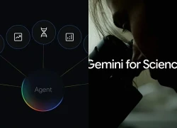 Google muốn Gemini có thể thay đổi cách nhân loại làm khoa học