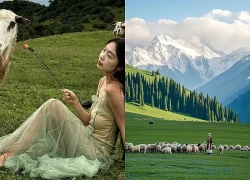 Người trẻ Trung Quốc mơ bỏ phố đi chăn 3.000 con cừu