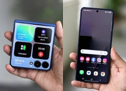 Thực hư tin đồn Samsung khai tử dòng điện thoại gập vỏ sò sau Galaxy Z Flip8