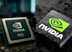 Trung Quốc cấm tiếp một loại chip Nvidia giữa cuộc cạnh tranh công nghệ với Mỹ