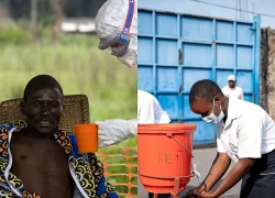 WHO: Nguy cơ bùng phát dịch Ebola trên toàn cầu ở mức thấp