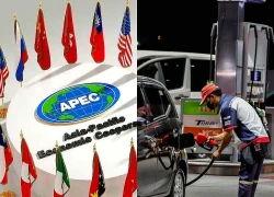 APEC khẳng định quyết tâm bảo vệ chuỗi cung ứng năng lượng