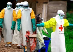 Bộ Y tế triển khai nhiều hoạt động phòng, chống dịch bệnh Ebola
