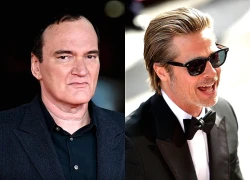 Brad Pitt từng bị đạo diễn Quentin Tarantino mắng gay gắt trên phim trường?