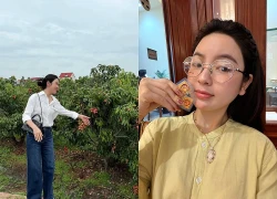 Chu Thanh Huyền gặp sự cố giữa vườn vải