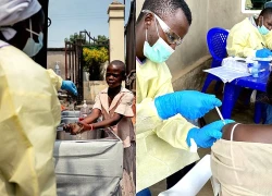 Khi nào thế giới có vaccine cho chủng Ebola mới?