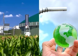 Liệu nhiên liệu sinh học có thể giúp châu Á giảm sốc dầu mỏ?