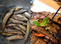 Loại cá bình dân bán đầy chợ Việt được ví như "sâm nước", làm đủ món ngon cực hợp cho nam giới tuổi trung niên
