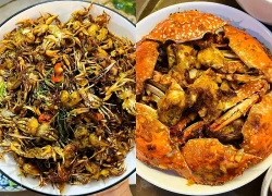 Mẹ đảm gợi ý 20 món nhậu lai rai cho cuối tuần, nhìn là thèm chảy nước miếng, đặc biệt dễ làm