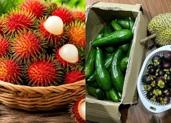 Mẹo ăn trái cây không làm tăng đường huyết