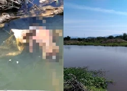Thương tâm: 3 trẻ ở Quảng Ngãi đuối nước trên sông Trà Khúc