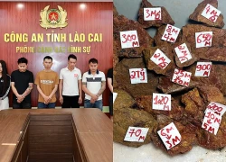 Nhóm tội phạm chuyên livestream "đổ thạch", chiếm đoạt 5 tỷ đồng