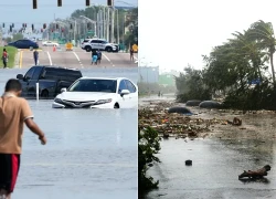 Tình hình bão Đại Tây Dương năm nay sẽ ra sao khi chịu tác động lớn từ El Nino?