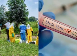 WHO nâng cảnh báo dịch Ebola ở CHDC Congo lên mức cao nhất
