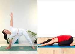 4 tư thế yoga nên tập vào buổi sáng giúp tăng độ dẻo dai, hỗ trợ giảm đau lưng