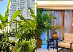 Ban công, phòng khách hay góc tối nên trồng cây gì, nhiều người đang đặt sai?