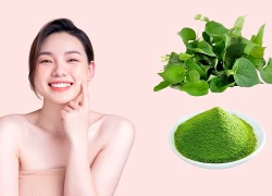 Cách dùng rau diếp cá tốt cho da mụn