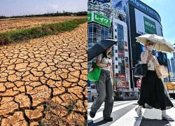 Đô thị khắp thế giới tìm cách 'hạ nhiệt'