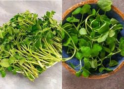 Loại rau tốt nhất thế giới