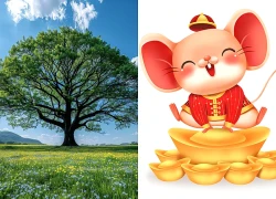 Những năm sinh được dự đoán dễ thành đại gia, tài lộc vượng từ trung vận