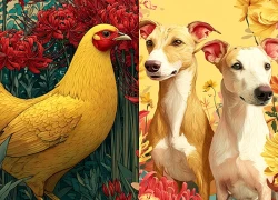 Nửa cuối năm 2026, 3 con giáp gặt đầy phúc khí, thu hết Lộc Trời, Tài Vận bùng phát, may mắn sáng bừng, họa biến thành phúc