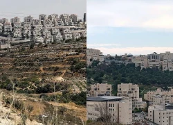 Pháp và Thụy Điển gây sức ép lên EU về hàng hóa từ khu định cư Israel