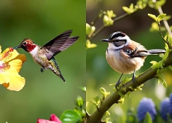 Trong vòng 30 ngày tới, 3 con giáp gặp thời khắc vàng, thu lộc tứ phương, giàu có hết phần thiên hạ, sống trong giàu sang