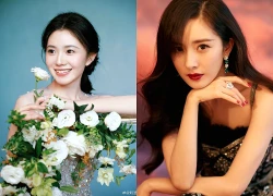 Tử vi thứ Tư 27/5/2026 của 12 con giáp:Dần - Ngọ phúc lộc sâu dày, tiền tài ào vào nhà, Mão - Thân sự nghiệp trắc trở, xui xẻo bủa vây không buông