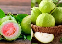 Ăn 1 quả ổi vào buổi sáng có tác dụng gì? 5 lý do bạn nên thử ngay