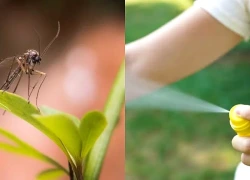 Bôi thuốc chống muỗi lại dễ bị muỗi đốt hơn? Phát hiện mới gây bất ngờ