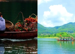 Cấm Sơn xanh hơn